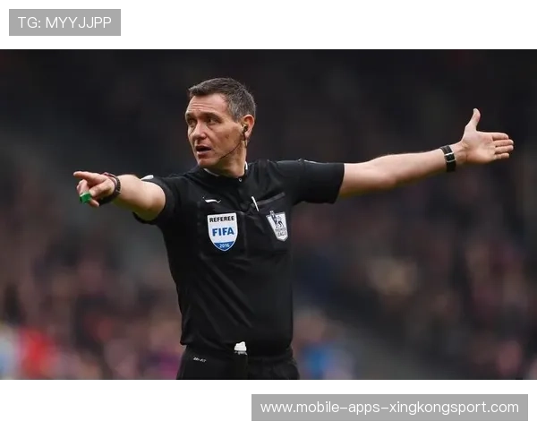 英超裁判报告:本轮争议判罚深度解析,英超裁判主队